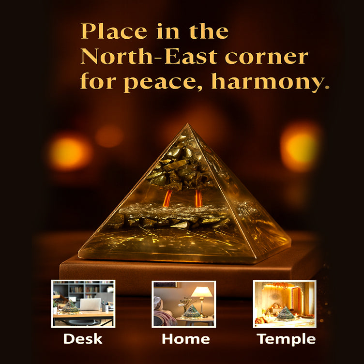 PREMIUM MONEY MAGNET WELLNESS PYRAMID